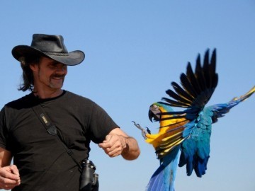 Крис Биро - свободные полеты с попугаями