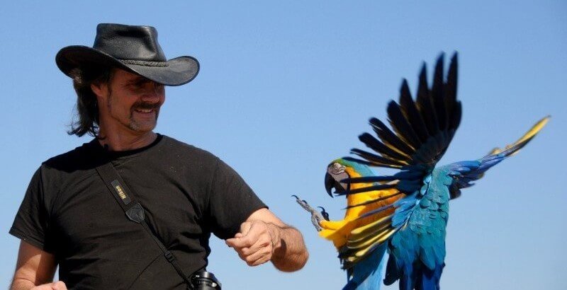 Крис Биро - свободные полеты с попугаями