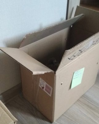 коробка для птенцов пустельги
